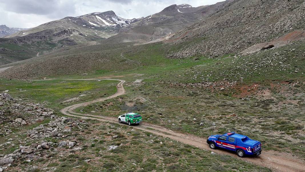Onları korumak için dağlarda devriye geziyorlar! Fotokapan ve drone ile de denetim yapılıyor 15